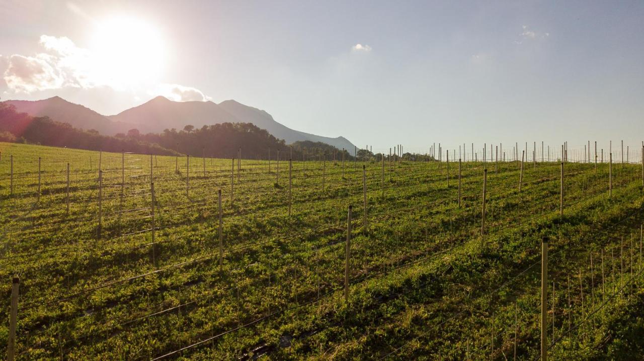 Agriturismo Podere Coldifico Sassoferrato Экстерьер фото